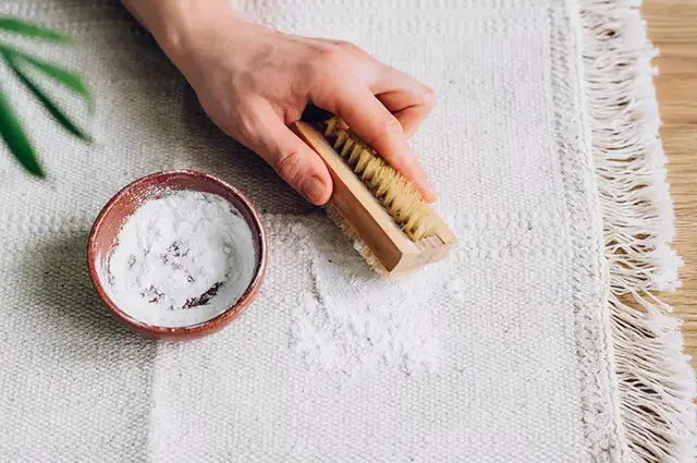 عکس مقاله لکه بری فرش