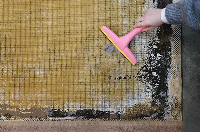 روش های جمع کردن مو از روی فرش و موکت