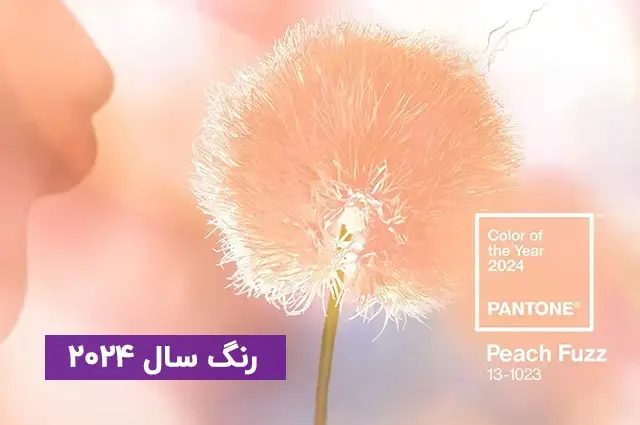 رنگ سال 2024